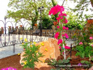 Όμορφες ανθοσυνθέσεις διακοσμούν τις πλατείες του Δήμου.