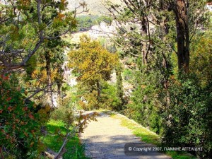 Bispedømme. Den asfalterte veien som fører opp til toppen av åsen. Επισκοπή. Το λιθόστρωτο μονοπάτι που οδηγεί στη κορυφή του λόφου.