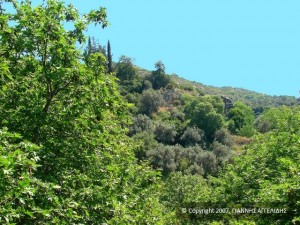 Άϊ-Νικολάκης. Η γύρω φύση είναι εκπληκτική.